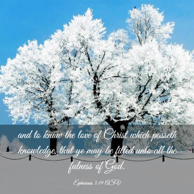 Picture 03 - Ephesians 3:19 ASV - and to know the love of Christ which passeth - Bible Verse Picture
