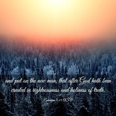 Picture 03 - Ephesians 4:24 ASV - and put on the new man, that after God hath been - Bible Verse Picture
