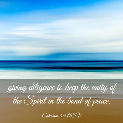Picture 03 - Ephesians 4:3 ASV - giving diligence to keep the unity of the Spirit - Bible Verse Picture