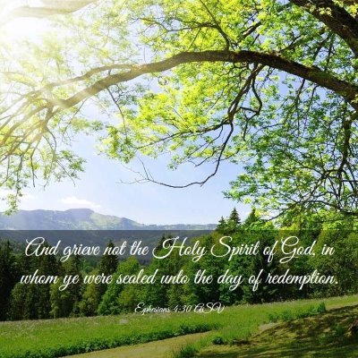 Picture 03 - Ephesians 4:30 ASV - And grieve not the Holy Spirit of God, in whom ye - Bible Verse Picture