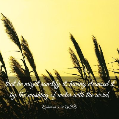 Picture 03 - Ephesians 5:26 ASV - that he might sanctify it, having cleansed it by - Bible Verse Picture