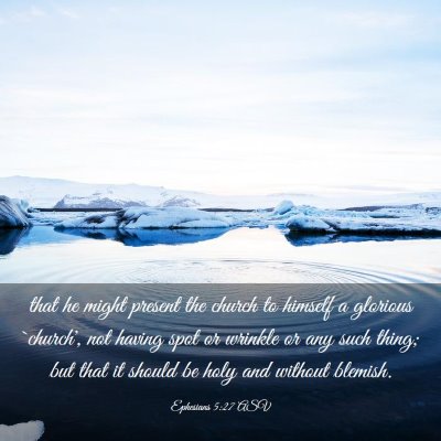 Picture 03 - Ephesians 5:27 ASV - that he might present the church to himself a - Bible Verse Picture