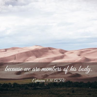 Picture 03 - Ephesians 5:30 ASV - because we are members of his - Bible Verse Picture