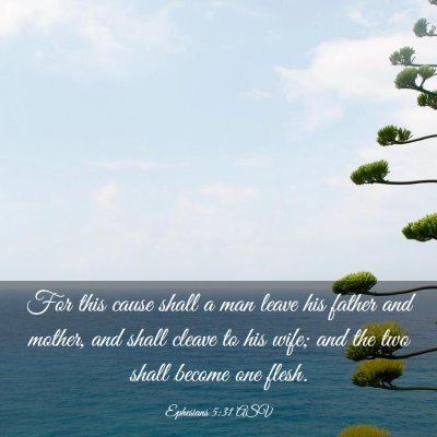Picture 03 - Ephesians 5:31 ASV - For this cause shall a man leave his father and - Bible Verse Picture