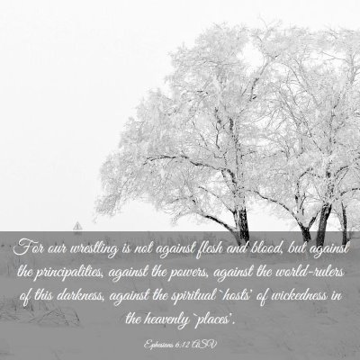 Picture 03 - Ephesians 6:12 ASV - For our wrestling is not against flesh and blood, - Bible Verse Picture