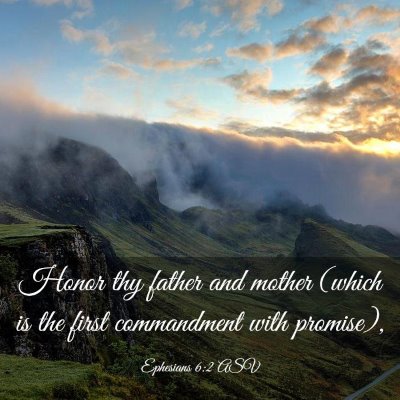 Picture 03 - Ephesians 6:2 ASV - Honor thy father and mother (which is the first - Bible Verse Picture