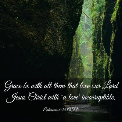 Picture 03 - Ephesians 6:24 ASV - Grace be with all them that love our Lord Jesus - Bible Verse Picture