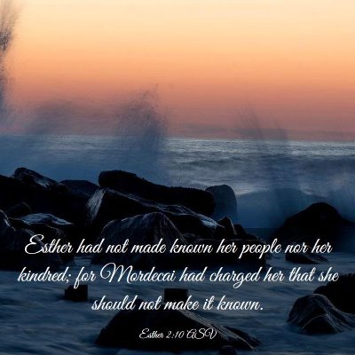 Picture 03 - Esther 2:10 ASV - Esther had not made known her people nor her - Bible Verse Picture