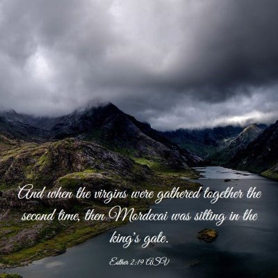 Picture 03 - Esther 2:19 ASV - And when the virgins were gathered together the - Bible Verse Picture