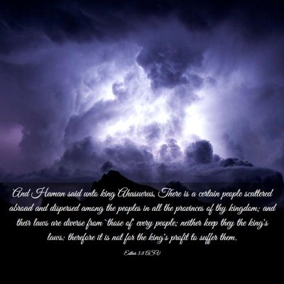 Picture 03 - Esther 3:8 ASV - And Haman said unto king Ahasuerus, There is a - Bible Verse Picture