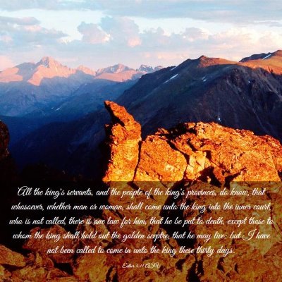 Picture 03 - Esther 4:11 ASV - All the king's servants, and the people of the - Bible Verse Picture