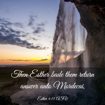 Picture 03 - Esther 4:15 ASV - Then Esther bade them return answer unto - Bible Verse Picture