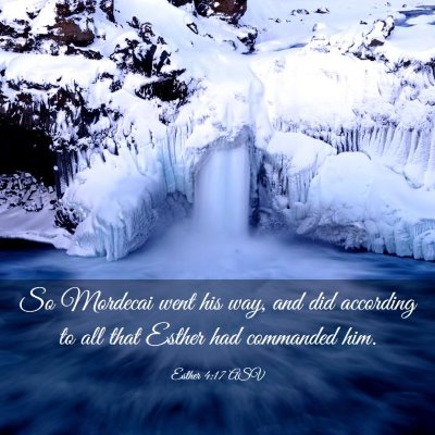 Picture 03 - Esther 4:17 ASV - So Mordecai went his way, and did according to - Bible Verse Picture