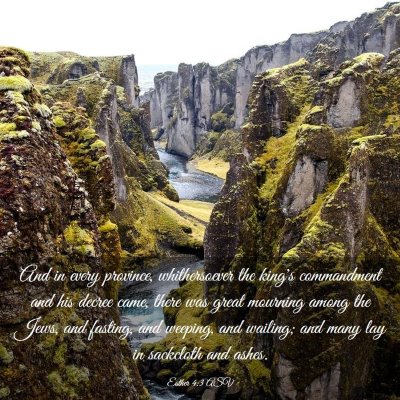 Picture 03 - Esther 4:3 ASV - And in every province, whithersoever the king's - Bible Verse Picture