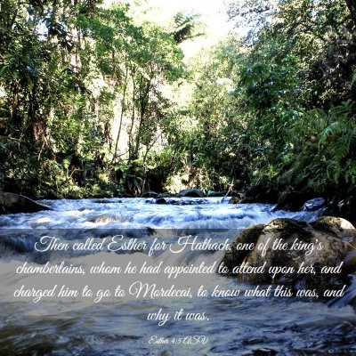 Picture 03 - Esther 4:5 ASV - Then called Esther for Hathach, one of the king's - Bible Verse Picture