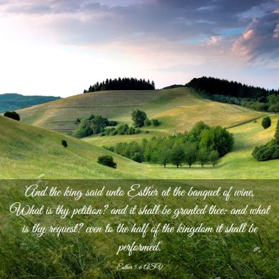 Picture 03 - Esther 5:6 ASV - And the king said unto Esther at the banquet of - Bible Verse Picture