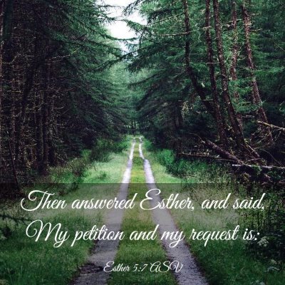 Picture 03 - Esther 5:7 ASV - Then answered Esther, and said, My petition and - Bible Verse Picture