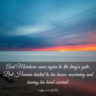 Picture 03 - Esther 6:12 ASV - And Mordecai came again to the king's gate. But - Bible Verse Picture
