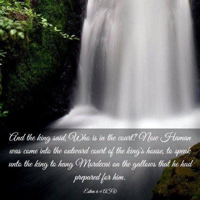 Picture 03 - Esther 6:4 ASV - And the king said, Who is in the court? Now Haman - Bible Verse Picture