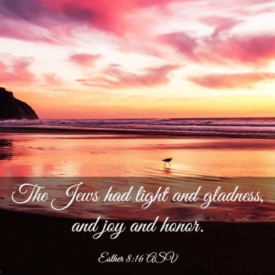 Picture 03 - Esther 8:16 ASV - The Jews had light and gladness, and joy and - Bible Verse Picture