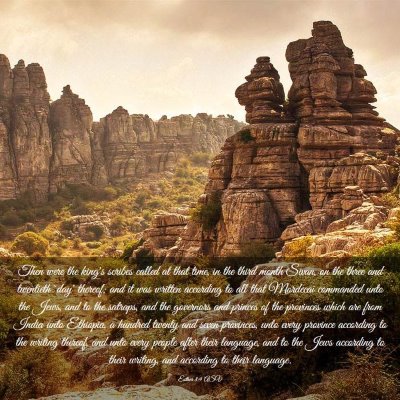 Picture 03 - Esther 8:9 ASV - Then were the king's scribes called at that time, - Bible Verse Picture