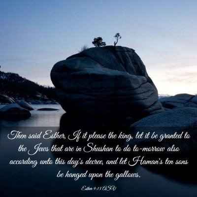 Picture 03 - Esther 9:13 ASV - Then said Esther, If it please the king, let it - Bible Verse Picture