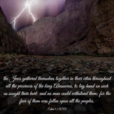 Picture 03 - Esther 9:2 ASV - the Jews gathered themselves together in their - Bible Verse Picture