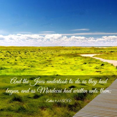 Picture 03 - Esther 9:23 ASV - And the Jews undertook to do as they had begun, - Bible Verse Picture