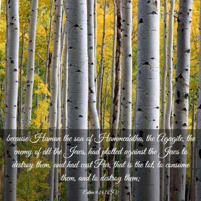 Picture 03 - Esther 9:24 ASV - because Haman the son of Hammedatha, the Agagite, - Bible Verse Picture
