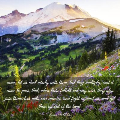 Picture 03 - Exodus 1:10 ASV - come, let us deal wisely with them, lest they - Bible Verse Picture