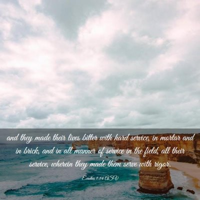 Picture 03 - Exodus 1:14 ASV - and they made their lives bitter with hard - Bible Verse Picture
