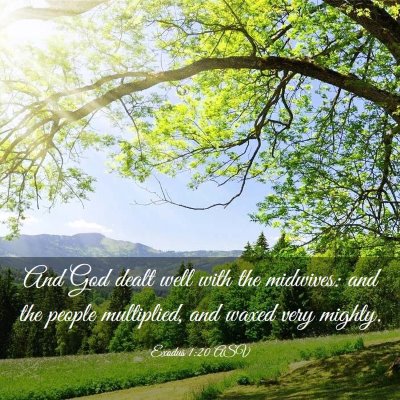 Picture 03 - Exodus 1:20 ASV - And God dealt well with the midwives: and the - Bible Verse Picture