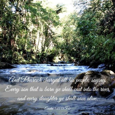 Picture 03 - Exodus 1:22 ASV - And Pharaoh charged all his people, saying, Every - Bible Verse Picture