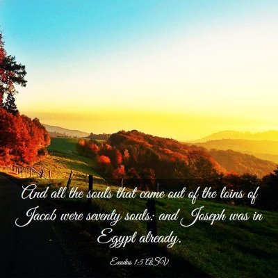 Picture 03 - Exodus 1:5 ASV - And all the souls that came out of the loins of - Bible Verse Picture