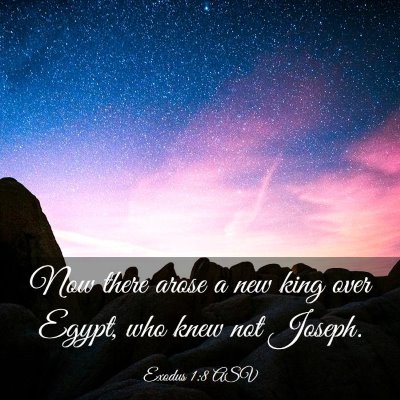 Picture 03 - Exodus 1:8 ASV - Now there arose a new king over Egypt, who knew - Bible Verse Picture