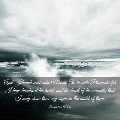 Picture 03 - Exodus 10:1 ASV - And Jehovah said unto Moses, Go in unto Pharaoh: - Bible Verse Picture
