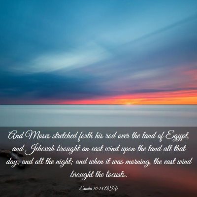 Picture 03 - Exodus 10:13 ASV - And Moses stretched forth his rod over the land - Bible Verse Picture