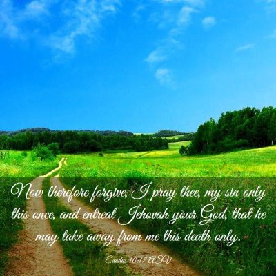 Picture 03 - Exodus 10:17 ASV - Now therefore forgive, I pray thee, my sin only - Bible Verse Picture