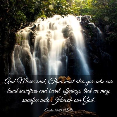 Picture 03 - Exodus 10:25 ASV - And Moses said, Thou must also give into our hand - Bible Verse Picture