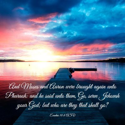 Picture 03 - Exodus 10:8 ASV - And Moses and Aaron were brought again unto - Bible Verse Picture