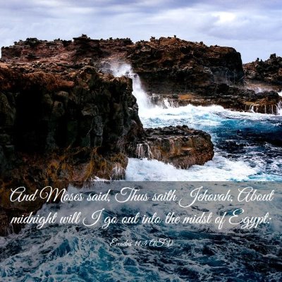 Picture 03 - Exodus 11:4 ASV - And Moses said, Thus saith Jehovah, About - Bible Verse Picture