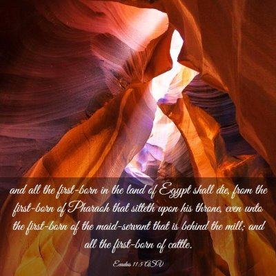Picture 03 - Exodus 11:5 ASV - and all the first-born in the land of Egypt shall - Bible Verse Picture