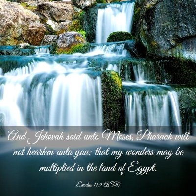 Picture 03 - Exodus 11:9 ASV - And Jehovah said unto Moses, Pharaoh will not - Bible Verse Picture