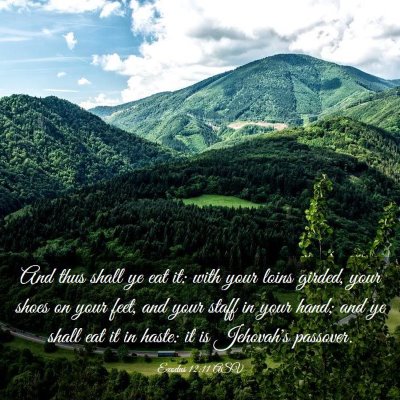 Picture 03 - Exodus 12:11 ASV - And thus shall ye eat it: with your loins girded, - Bible Verse Picture