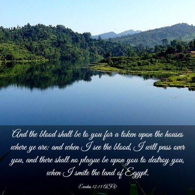 Picture 03 - Exodus 12:13 ASV - And the blood shall be to you for a token upon - Bible Verse Picture