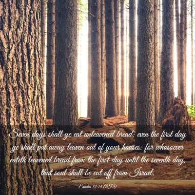 Picture 03 - Exodus 12:15 ASV - Seven days shall ye eat unleavened bread; even - Bible Verse Picture