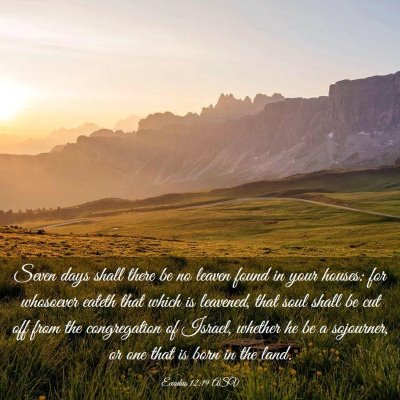 Picture 03 - Exodus 12:19 ASV - Seven days shall there be no leaven found in your - Bible Verse Picture