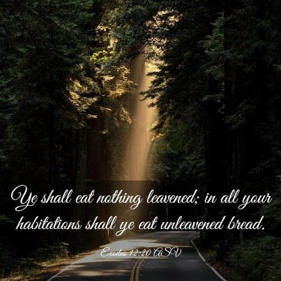 Picture 03 - Exodus 12:20 ASV - Ye shall eat nothing leavened; in all your - Bible Verse Picture