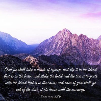 Picture 03 - Exodus 12:22 ASV - And ye shall take a bunch of hyssop, and dip it - Bible Verse Picture
