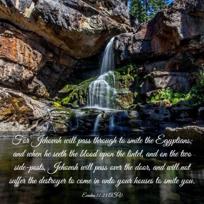 Picture 03 - Exodus 12:23 ASV - For Jehovah will pass through to smite the - Bible Verse Picture